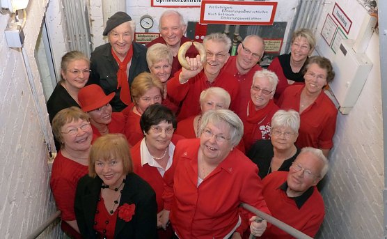 Die Silberdisteln (Foto: B. Susemihl)