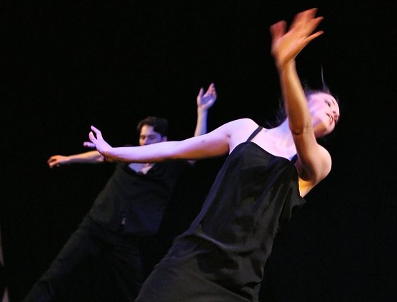 T&auml;nzer werden Choreographen (Foto: privat)