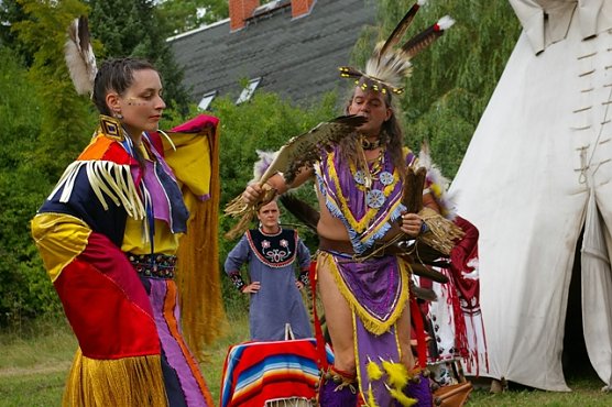 B&auml;r im B&auml;renpark (Foto: B&auml;renpark)