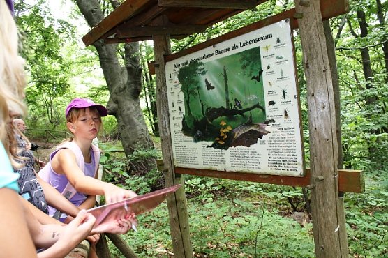 Klippenrallye (Foto: NEHW)