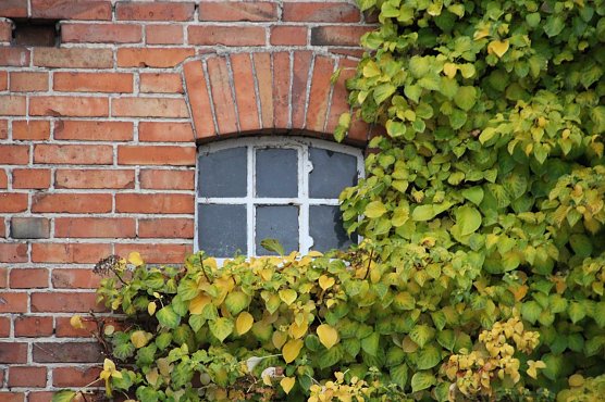 Sanierung ist notwendig (Foto: DBU)