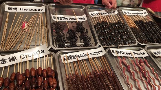 Chinesische Spezialit&auml;ten (Foto: Gisela Reinhardt)