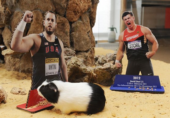 Die Entscheidung ist gefallen (Foto: W. Hasselbach)