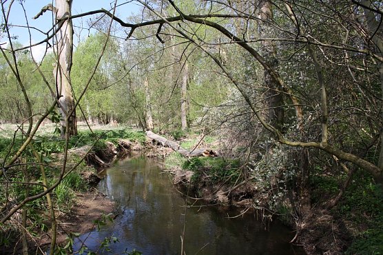 Naturefund (Foto: Arne Willenberg)
