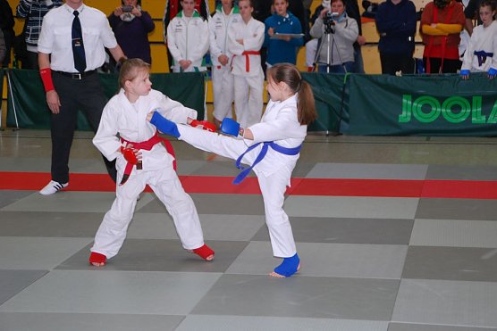 Jujutsu (Foto: Gerald Eckert)