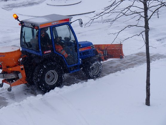 Schneer&auml;umen (Foto: Ilka K&uuml;hn)