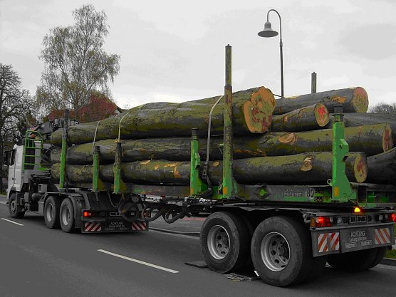 &Uuml;berladen (Foto: API)