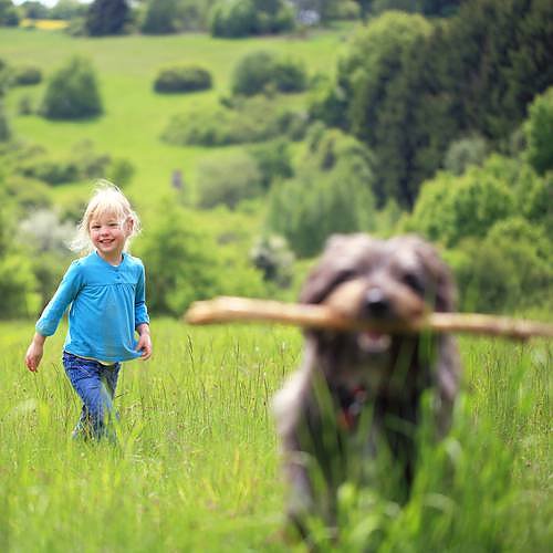 Kind mit Hund (Foto: dgk) Kind mit Hund (Foto: dgk)