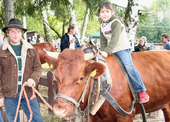 Abenteuer in Harzrigi (Foto: Hellberg)