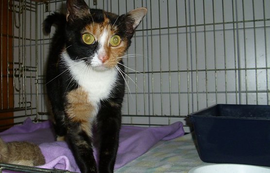 Anja (Foto: C. Knust)