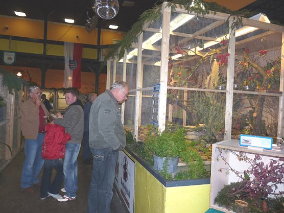 Ziergefl&uuml;gelausstellung (Foto: Karl-Heinz Herrmann)