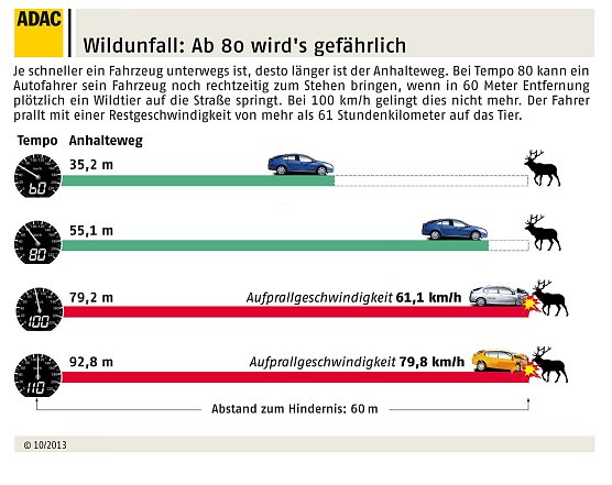 Grafik (Foto: ADAC) Grafik (Foto: ADAC)