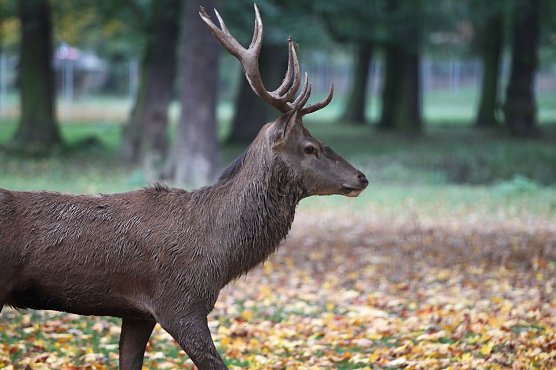 Im Stadtpark (Foto: nnz) Im Stadtpark (Foto: nnz)
