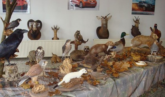 Jagd im Autohaus (Foto: AHP) Jagd im Autohaus (Foto: AHP)