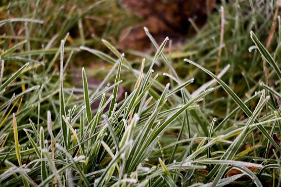 Wetter-Bild (Foto: G. Thelemann) Wetter-Bild (Foto: G. Thelemann)
