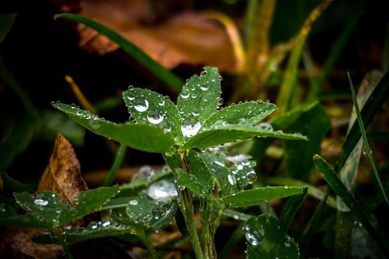Wetter-Bild (Foto: Gernot Thelemann) Wetter-Bild (Foto: Gernot Thelemann)