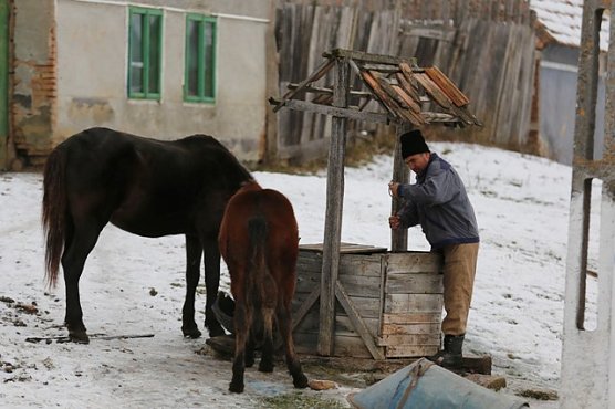 Pakete f&uuml;r Rum&auml;nien (Foto: Karsten Ley)