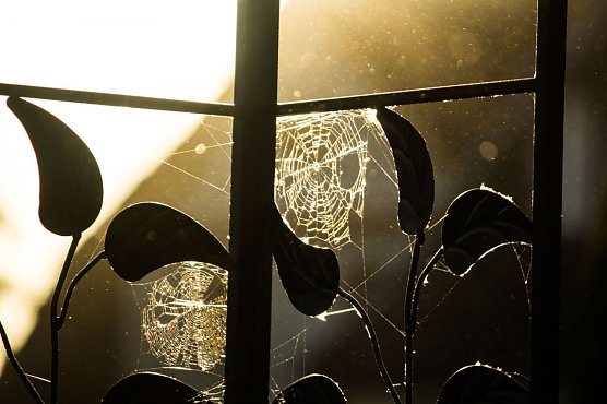 Wetter-Bild (Foto: Gernot Thelemann) Wetter-Bild (Foto: Gernot Thelemann)