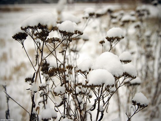 Wetter-Bild (Foto: Gernot Thelemann) Wetter-Bild (Foto: Gernot Thelemann)