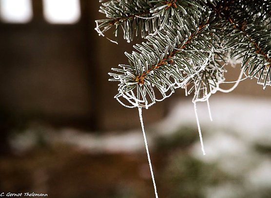 Wetter-Bild (Foto: Gernot Thelemann) Wetter-Bild (Foto: Gernot Thelemann)