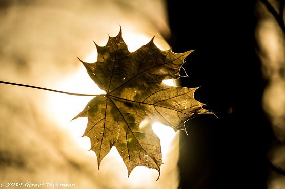 Wetter-Bild (Foto: Gernot Thelemann) Wetter-Bild (Foto: Gernot Thelemann)