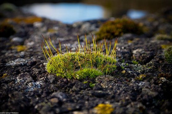 Wetter-Bild (Foto: Gernot Thelemann)