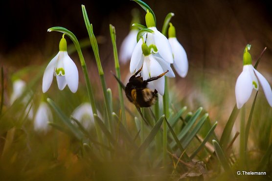 Wetter-Bild (Foto: Gernot Thelemann)