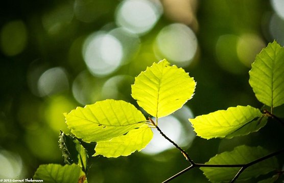 Wetter-Bild (Foto: Gernot Thelemann)
