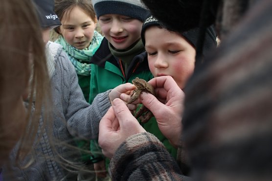 Am Körtenzaun (Foto: Astrid Willenberg) Am Körtenzaun (Foto: Astrid Willenberg)