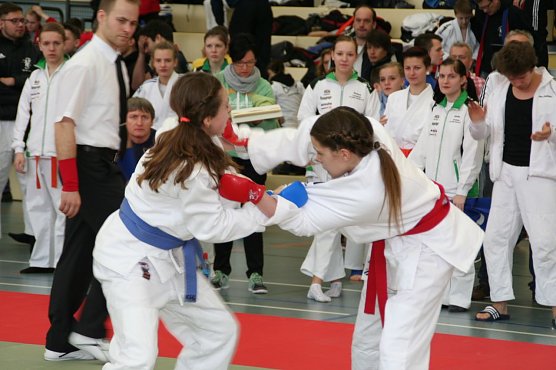 JuJutsu (Foto: Gerald Eckart)
