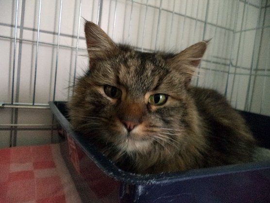 Findelkind (Foto: C. Knust)