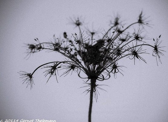 Wetter-Bild (Foto: Gernot Thelemann)