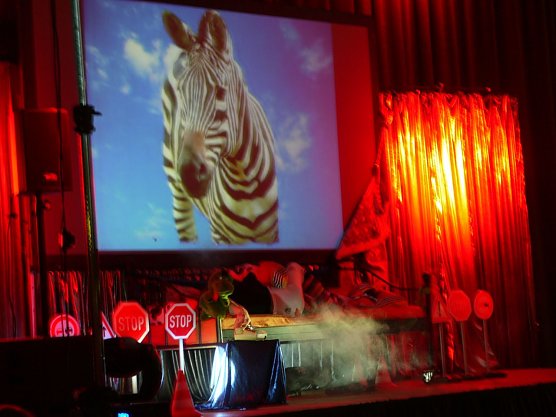 Sicherheit braucht K&ouml;pfchen (Foto: Ilka K&uuml;hn)