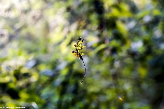Wetter-Bild (Foto: Gernot Thelemann)