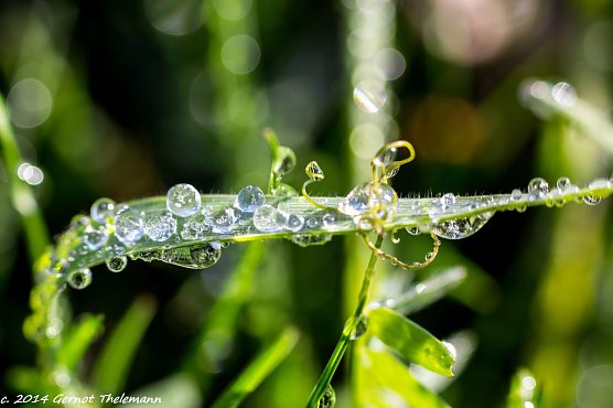 Wetter-Bild (Foto: Gernot Thelemann)