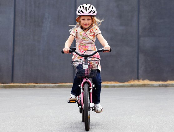 Die richtige Wahl (Foto: dmd/thx)