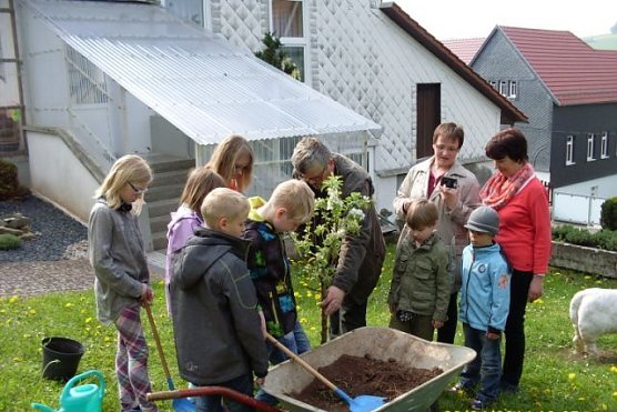Baum pflanzen (Foto: Pfr. Haase)