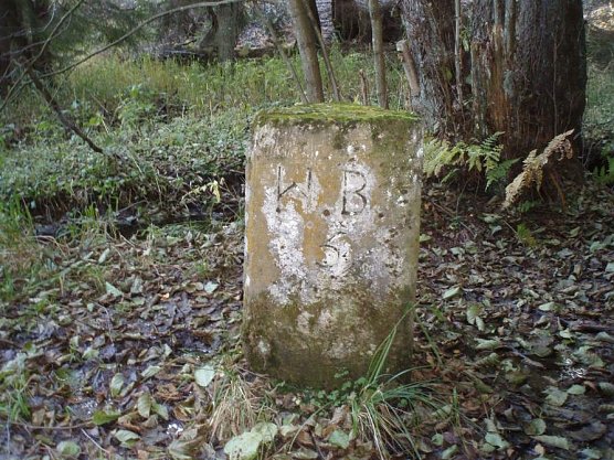 Der Dreiherrenstein von der Braunschweiger Seite her (Foto: Klaus-Wilhelm Br&uuml;ggemann)