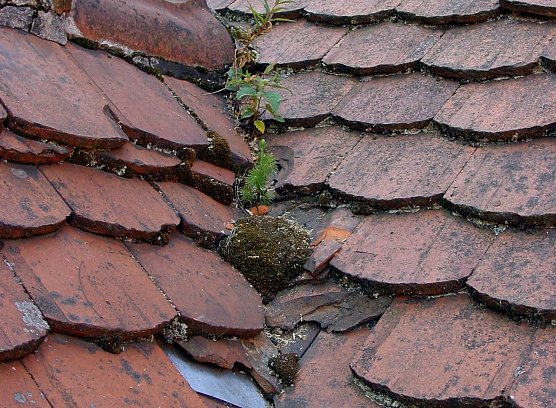 Schlechter Zustand (Foto: HF Redaktion)