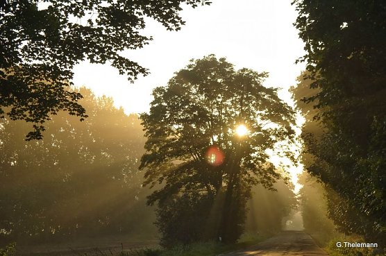 Wetterbild (Foto: Gernot Thelemann)