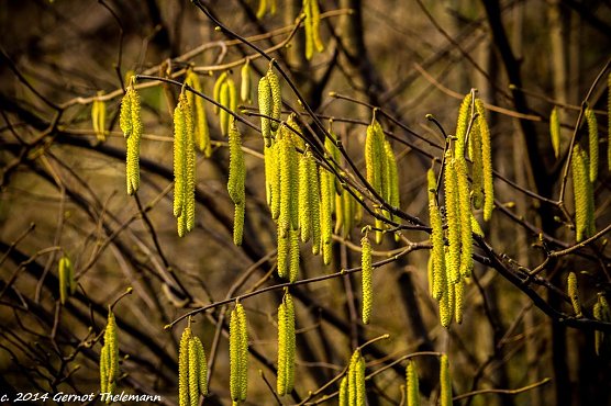 Wetterbild (Foto: Gernot Thelemann) Wetterbild (Foto: Gernot Thelemann)