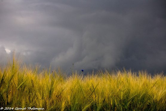Wetterbild (Foto: Gernot Thelemann) Wetterbild (Foto: Gernot Thelemann)