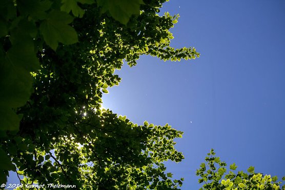 Wetter-Bild (Foto: Gernot Thelemann)