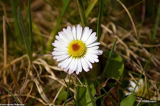 Wetter-Bild (Foto: Gernot Thelemann)