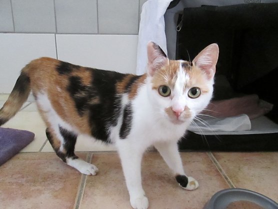 Nicole (Foto: Karin Ziegler) Nicole (Foto: Karin Ziegler)