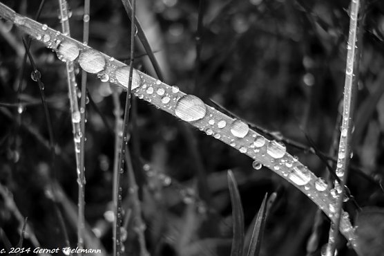 Wetterbild (Foto: Gernot Thelemann) Wetterbild (Foto: Gernot Thelemann)