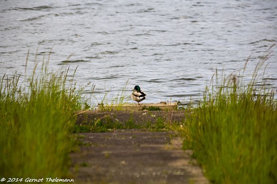 Wetterbild (Foto: Gernot Thelemann) Wetterbild (Foto: Gernot Thelemann)