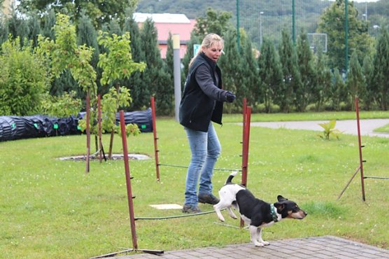 Rettungshunde bei Lebenshilfe (Foto: Gisela Reinhardt)