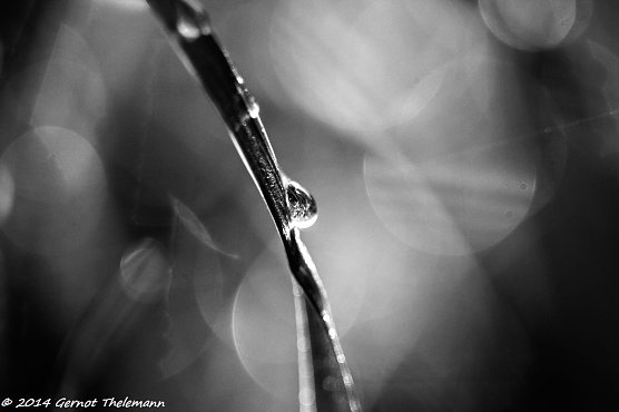 Wetter-Bild (Foto: Gernot Thelemann)