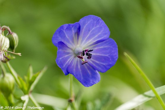Wetterbild (Foto: Gernot Thelemann) Wetterbild (Foto: Gernot Thelemann)
